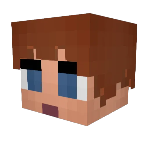 Chutzpahn Minecraft avatar head, 3D render
