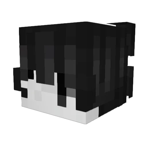 Chwyin Minecraft avatar head, 3D render