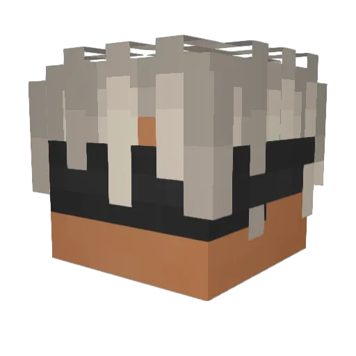 Chxckmxte_ Minecraft avatar head, 3D render