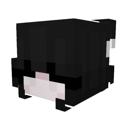 Chxrryfluff Minecraft avatar head, 3D render