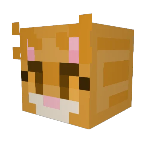 Chyld666 Minecraft avatar head, 3D render