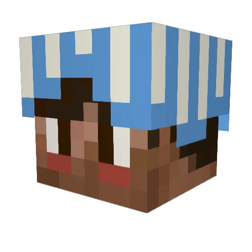 Chyllyn_amillion Minecraft avatar head, 3D render