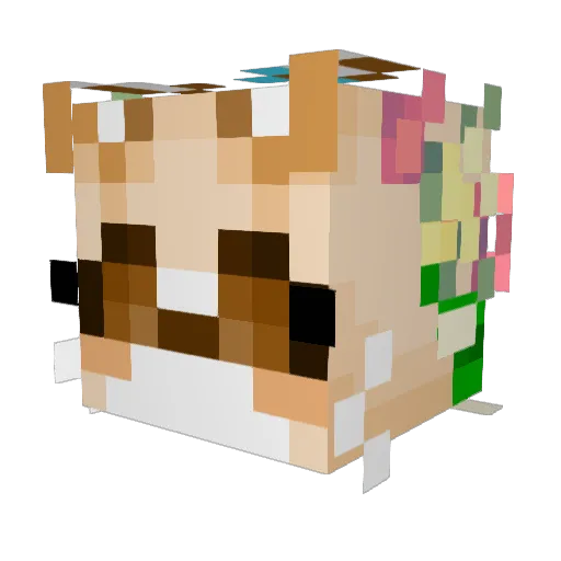 Chyoatas Minecraft avatar head, 3D render