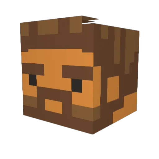 Chyzauke Minecraft avatar head, 3D render