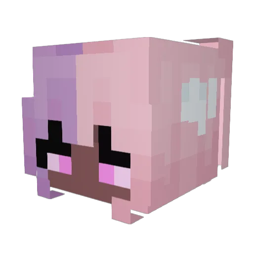 CianaLovesYou Minecraft avatar head, 3D render