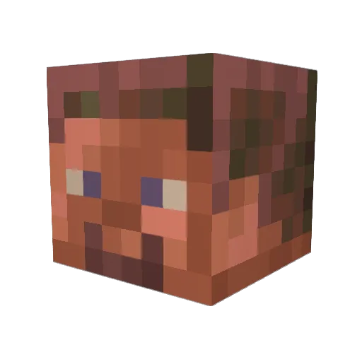 CianiFamily Minecraft avatar head, 3D render