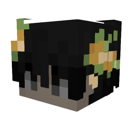 Ciapis Minecraft avatar head, 3D render