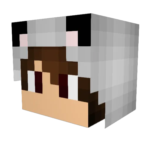 CiaranD21 Minecraft avatar head, 3D render