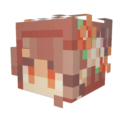 CicadaOrange Minecraft avatar head, 3D render
