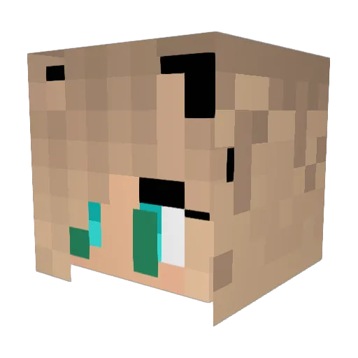 CiciSwirlz Minecraft avatar head, 3D render