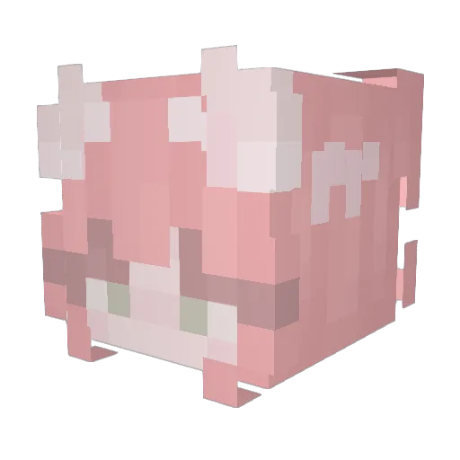 Cicit92 Minecraft avatar head, 3D render