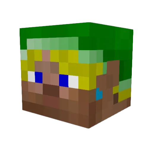 CicolasNage Minecraft avatar head, 3D render