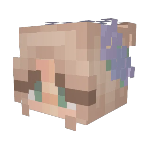 Cielceleste Minecraft avatar head, 3D render