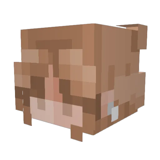 Cielospaghetti Minecraft avatar head, 3D render