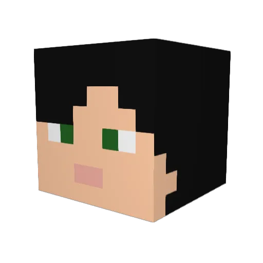 Ciferot Minecraft avatar head, 3D render