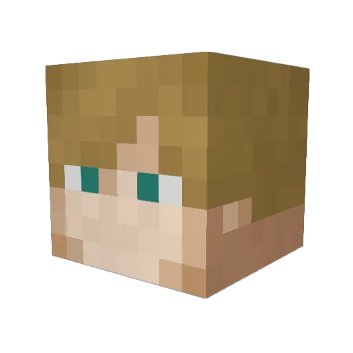 Cighton Minecraft avatar head, 3D render