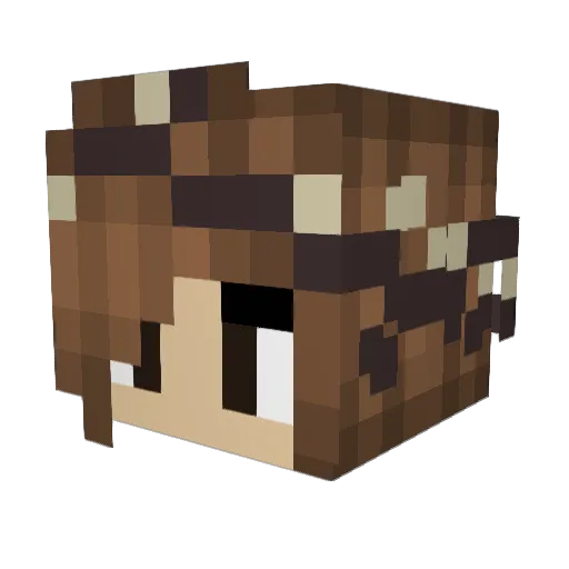 Ciindii Minecraft avatar head, 3D render