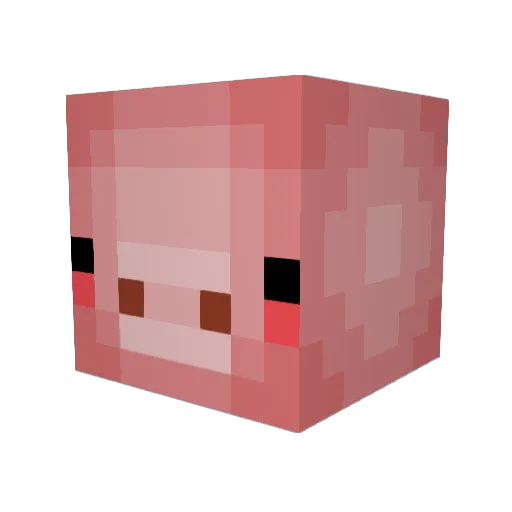 CilantroHEHE0 Minecraft avatar head, 3D render