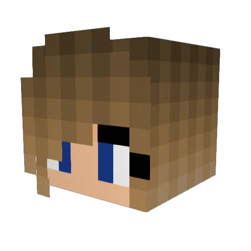 CilleBilde Minecraft avatar head, 3D render