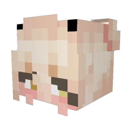Cilverishim Minecraft avatar head, 3D render