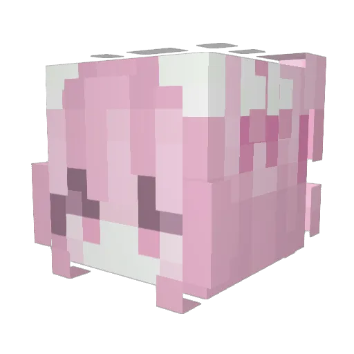 Cinamii Minecraft avatar head, 3D render