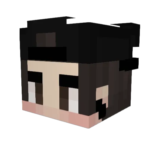 Cinaxis Minecraft avatar head, 3D render