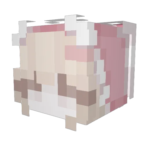 Cinbony Minecraft avatar head, 3D render