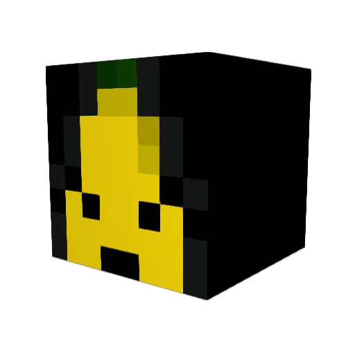 Cincy4Life Minecraft avatar head, 3D render