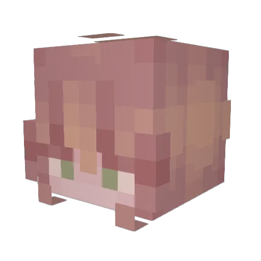CinderElla_J Minecraft avatar head, 3D render