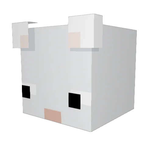 Cinder_Bones Minecraft avatar head, 3D render