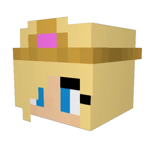 Cinderella123 Minecraft avatar head, 3D render