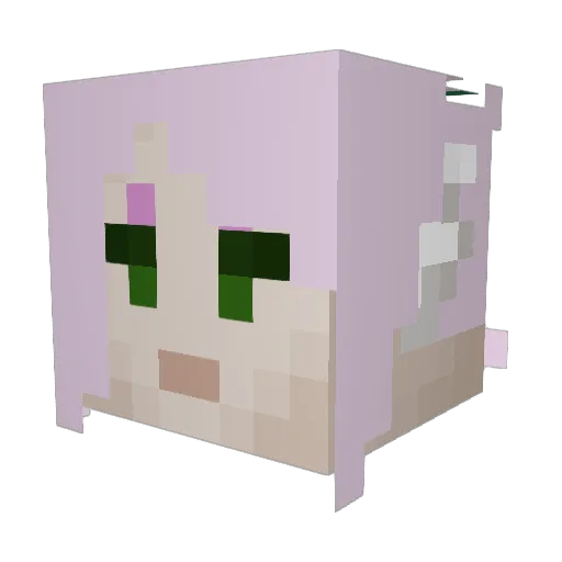 Cinderspark9 Minecraft avatar head, 3D render