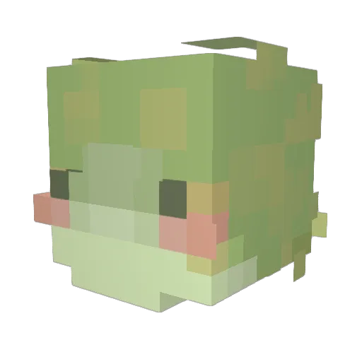 CindyMC Minecraft avatar head, 3D render