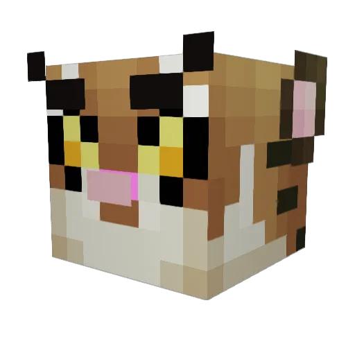 Cinjy Minecraft avatar head, 3D render