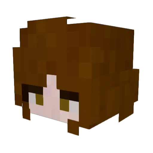 Cinnabean3 Minecraft avatar head, 3D render