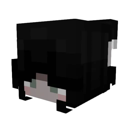 Cinnabun0_0 Minecraft avatar head, 3D render