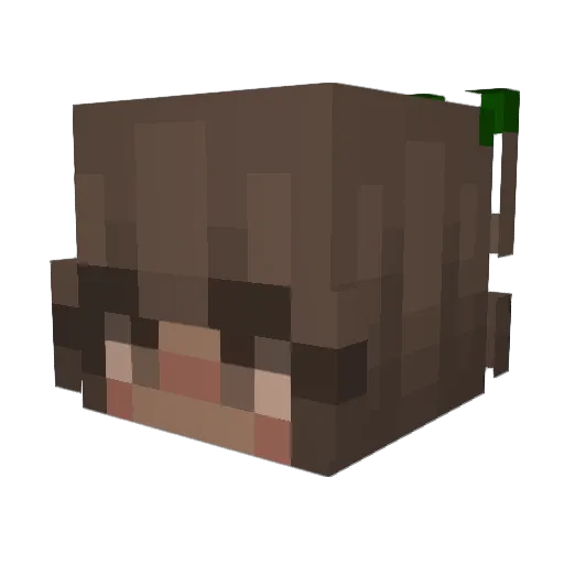 Cinnamarol Minecraft avatar head, 3D render