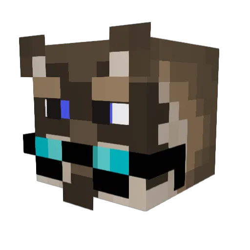 Cinnamon0811 Minecraft avatar head, 3D render