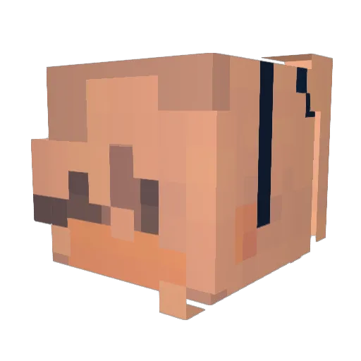 Cinnamon404 Minecraft avatar head, 3D render