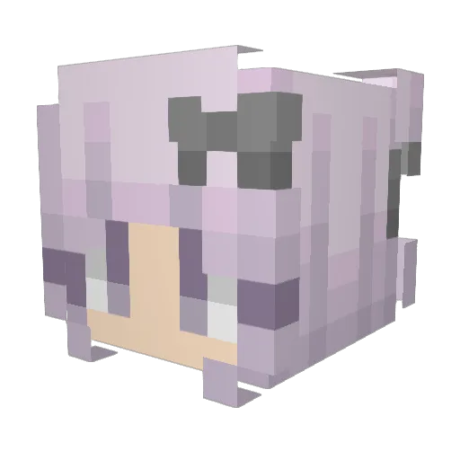 CinnamonBased Minecraft avatar head, 3D render