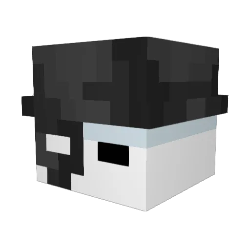 CinnamonMink24 Minecraft avatar head, 3D render