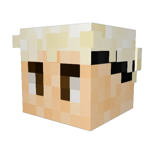 CinnamonNuts Minecraft avatar head, 3D render