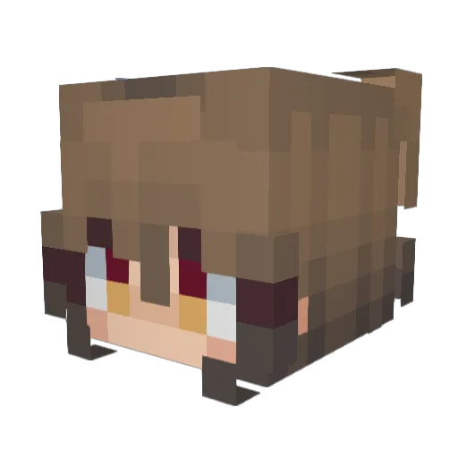 CinnamonWisp Minecraft avatar head, 3D render