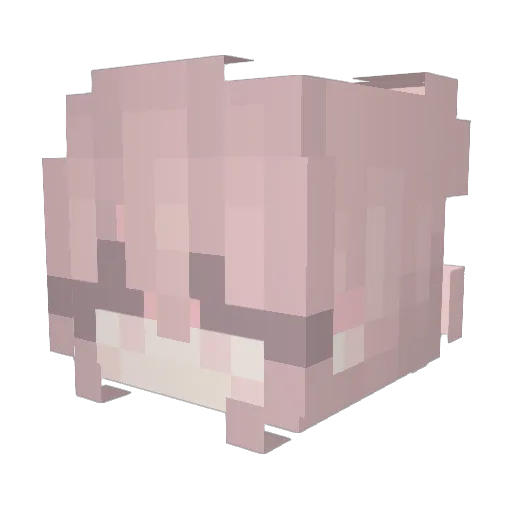 CinnamonWolf967 Minecraft avatar head, 3D render