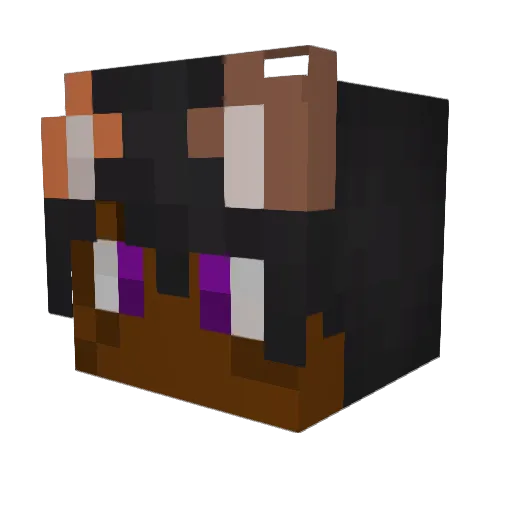 Cinnamon_BunBun Minecraft avatar head, 3D render