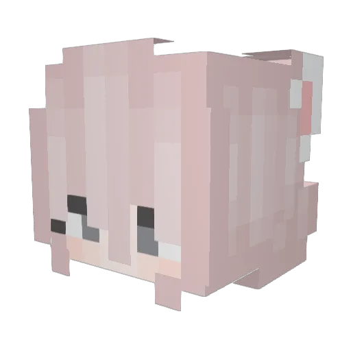 Cinnnamonbun Minecraft avatar head, 3D render