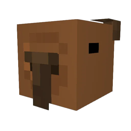 Cinnnqmon Minecraft avatar head, 3D render