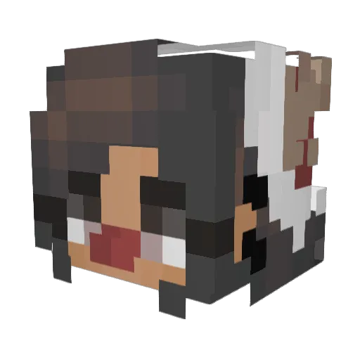 Cinnox Minecraft avatar head, 3D render