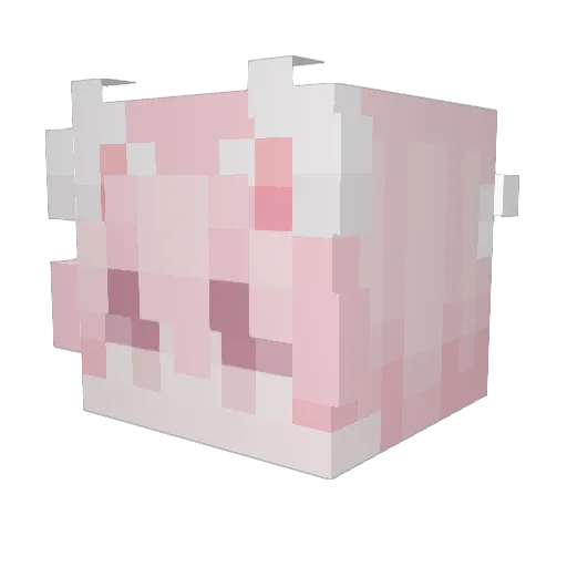 CinnyCin Minecraft avatar head, 3D render