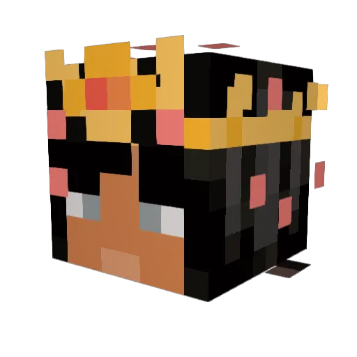 Cinobuns Minecraft avatar head, 3D render